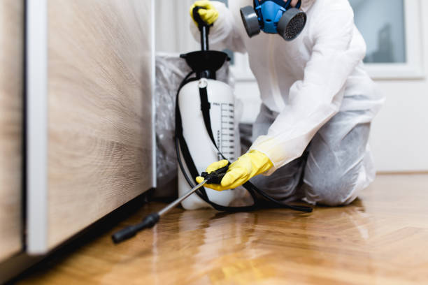 Best Rat Extermination Near Me  in Wentzville, MO