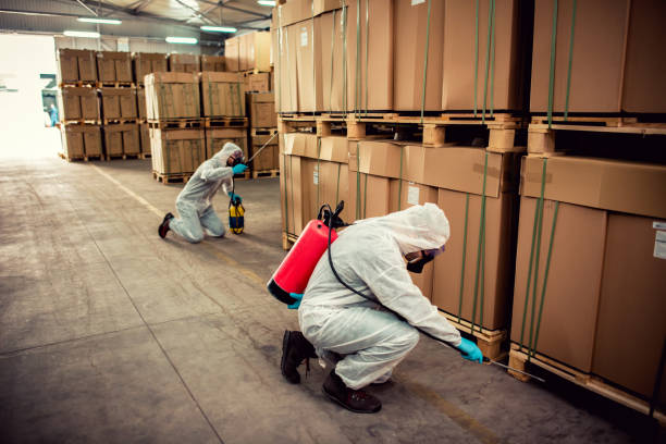 Best Pest Control for Businesses  in Wentzville, MO