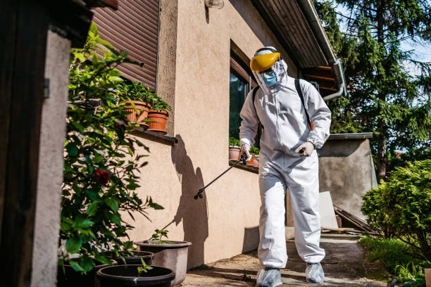 Best Pest Control for Businesses  in Wentzville, MO