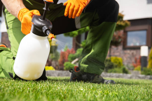 Best Best Pest Control Companies  in Wentzville, MO