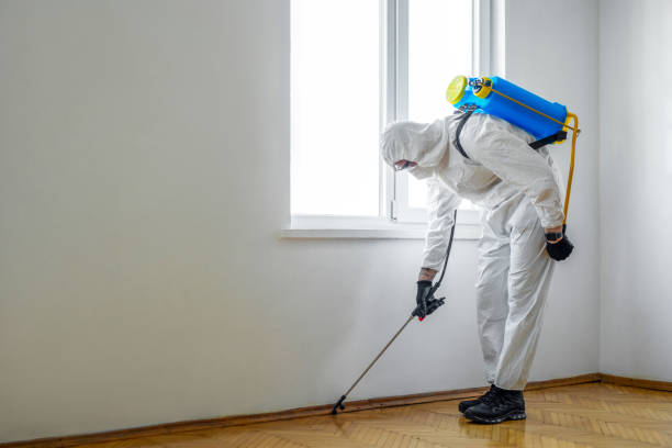 Professional Pest Control in Wentzville, MO