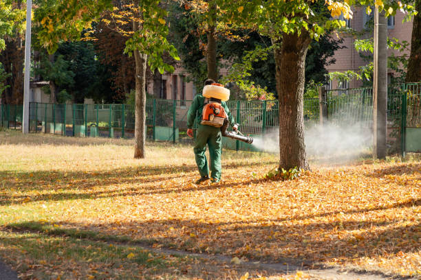 Best Pest Prevention Services  in Wentzville, MO