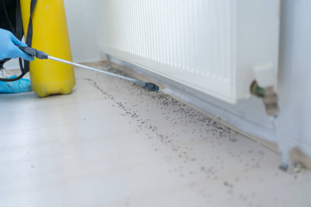 Best Commercial Pest Control Services  in Wentzville, MO